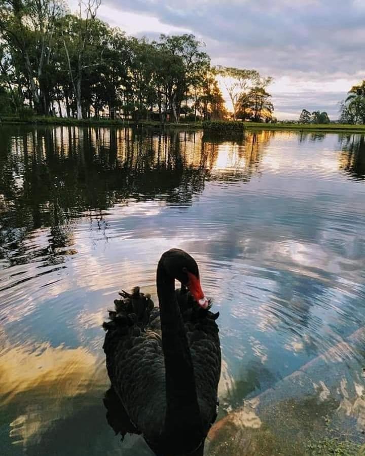 Pousada Do Sobrado Bagé Dış mekan fotoğraf